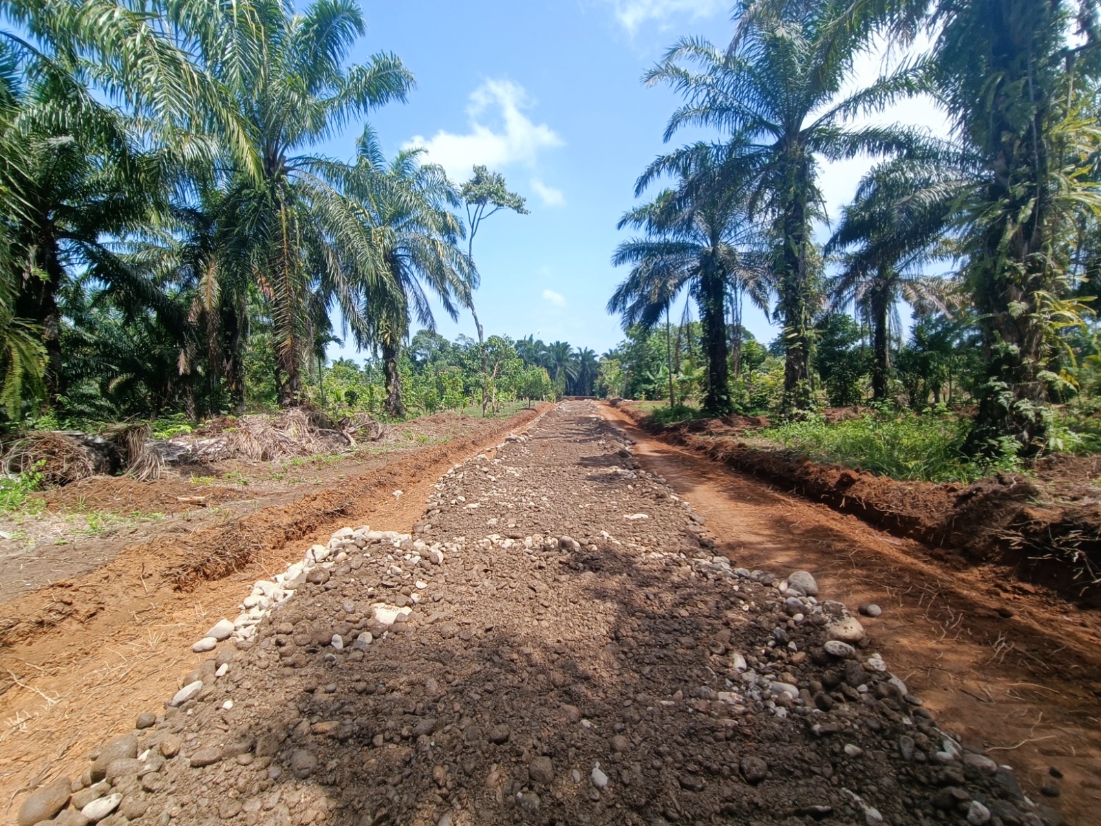 Pembangunan 2,9 Kilometer Jalan TMMD ke-130 Mendorong Konektivitas Ekonomi di Bengkulu