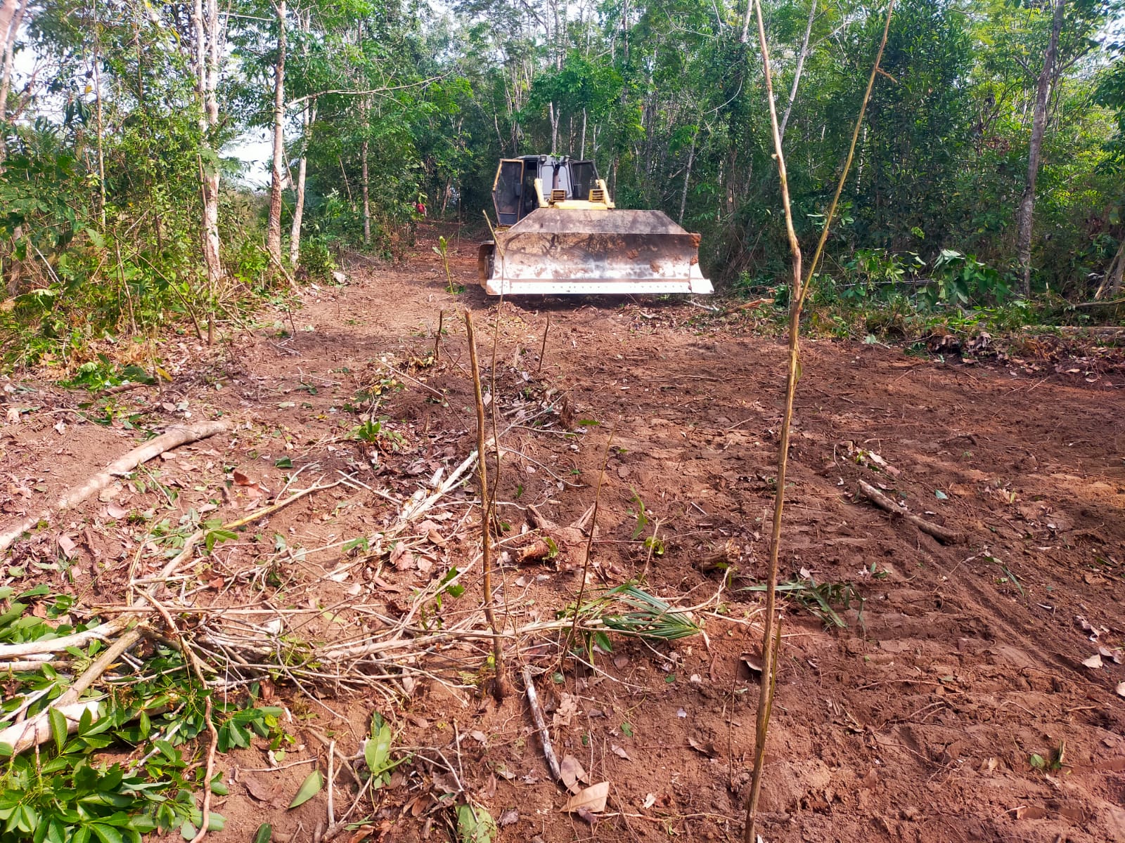 Infrastruktur Jalan Baru TNI di Gunung Sangkaran Tingkatkan Kesejahteraan Warga