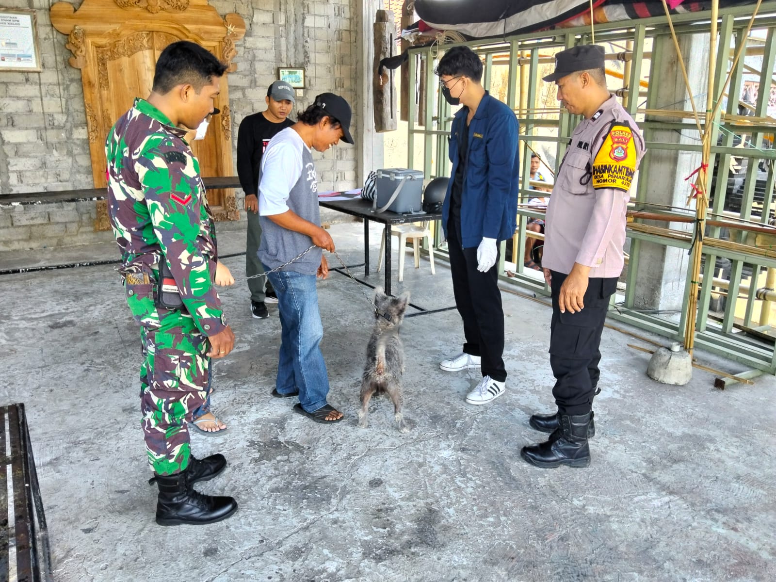 Upaya Bersama Cegah Rabies: Vaksinasi Hewan Peliharaan di Tabanan