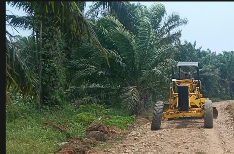 Jalan TMMD ke-130: Pembuka Akses Baru Menuju Kesejahteraan di Bengkulu